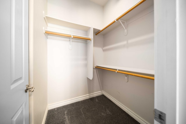 spacious closet with carpet flooring