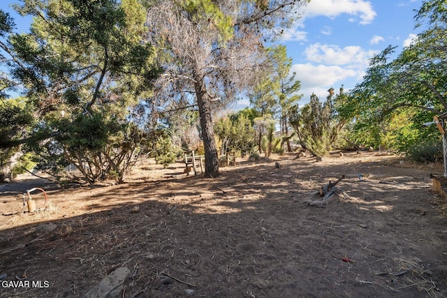 8676 Sky Line Dr, Pinon Hills, CA 92372 - photo 46