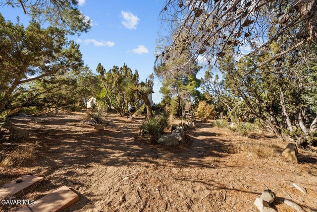 8676 Sky Line Dr, Pinon Hills, CA 92372 - photo 49