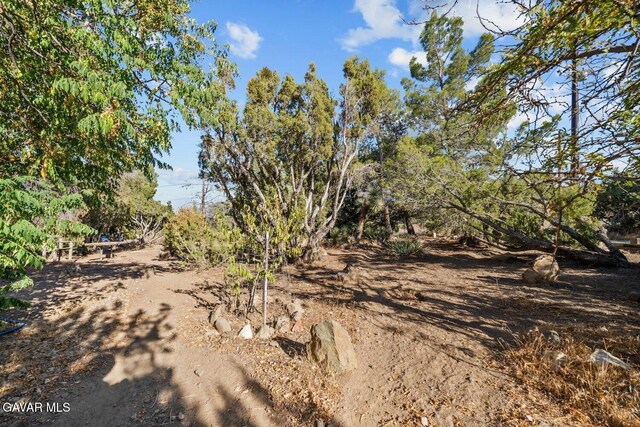 8676 Sky Line Dr, Pinon Hills, CA 92372 - photo 48