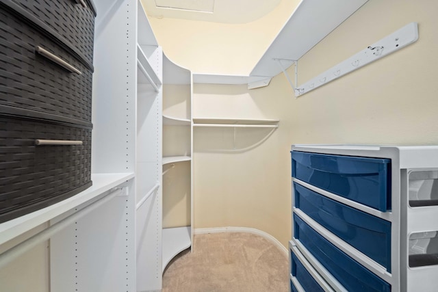 walk in closet with light colored carpet