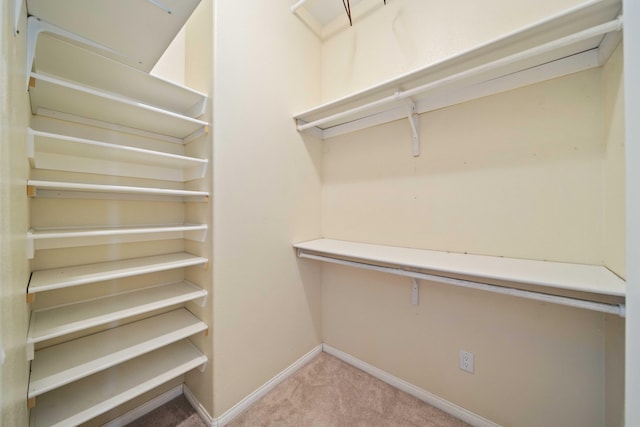 walk in closet with carpet floors