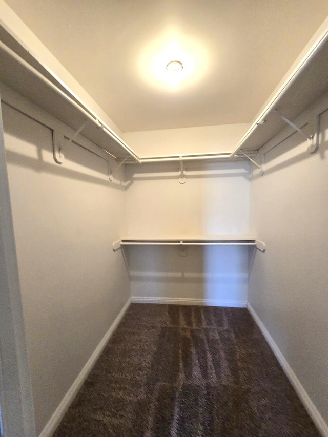 walk in closet featuring carpet