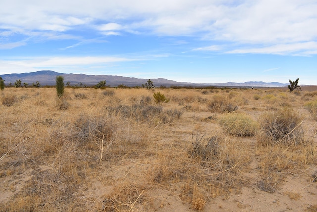 11500 W Willow Ave, Rosamond CA, 93560 land for sale