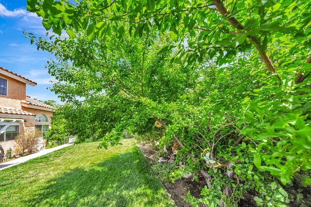 39884 Golfers Dr, Palmdale, CA 93551 - view of green lawn