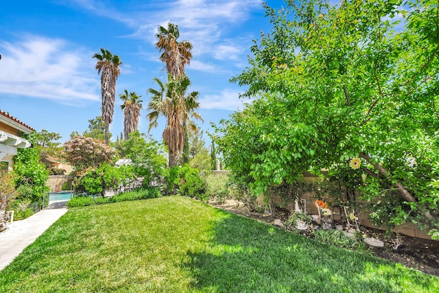 39884 Golfers Dr, Palmdale, CA 93551 - view of yard