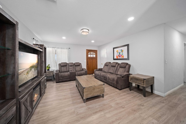 living room with light wood-type flooring