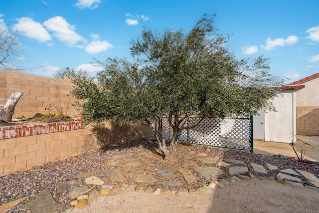 view of yard with a fenced backyard