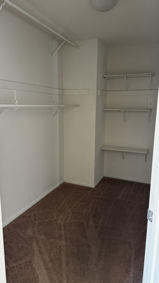 spacious closet with dark carpet