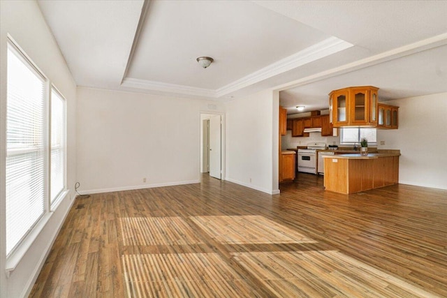 unfurnished living room featuring dark hardwood / wood-style flooring, a raised ceiling, and plenty of natural light