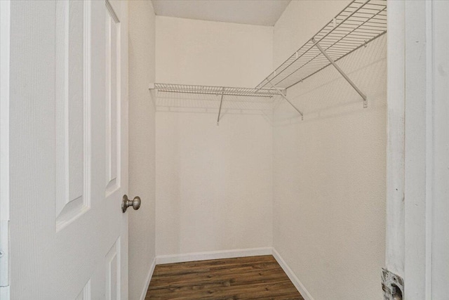 spacious closet with dark hardwood / wood-style floors