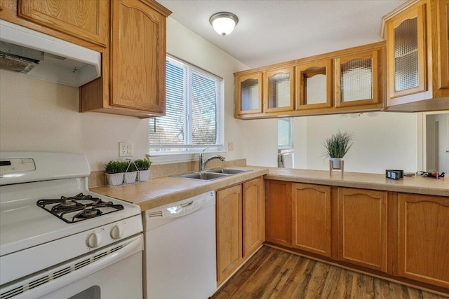 kitchen featuring dark hardwood / wood-style flooring, white appliances, and sink