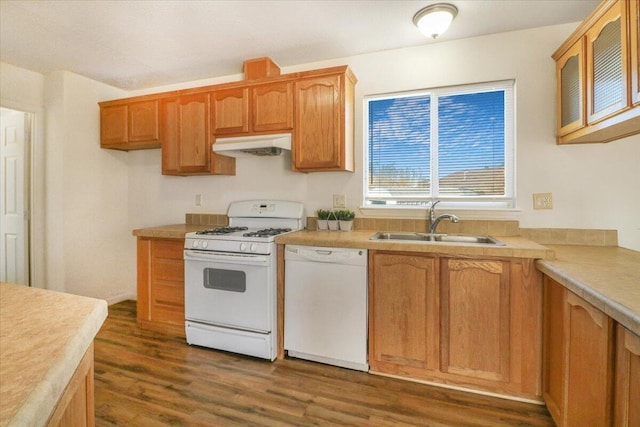 kitchen featuring sink, dark wood-type flooring, and white appliances