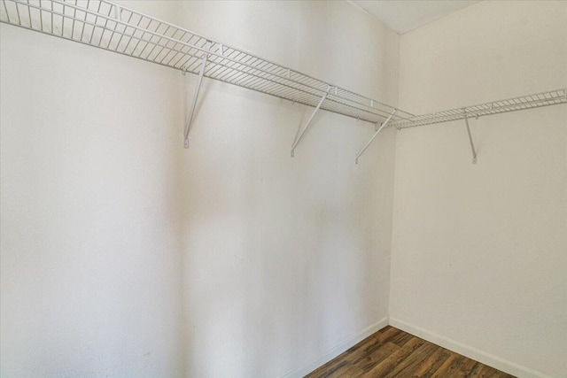 spacious closet featuring dark wood-type flooring