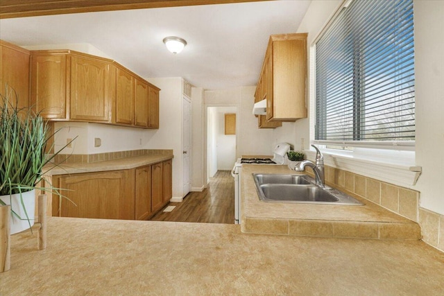 kitchen with dark wood-type flooring, sink, exhaust hood, and stainless steel gas range