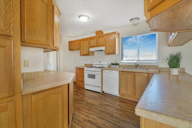 kitchen featuring sink, dark wood-type flooring, and white appliances