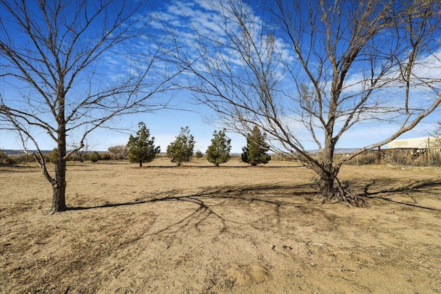 view of yard with a rural view