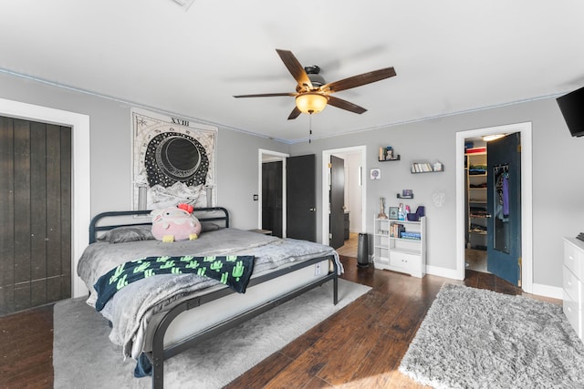 bedroom featuring a walk in closet, ceiling fan, and dark wood-type flooring