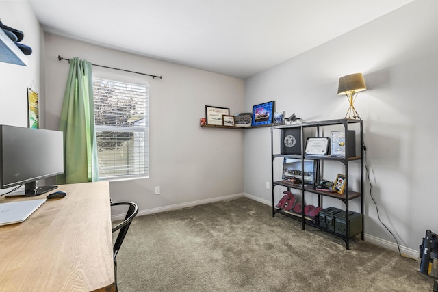 home office with carpet floors