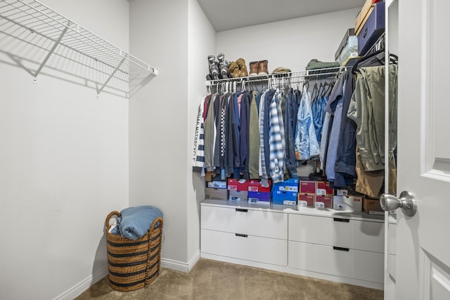 spacious closet featuring light colored carpet