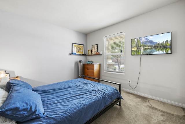 bedroom featuring carpet