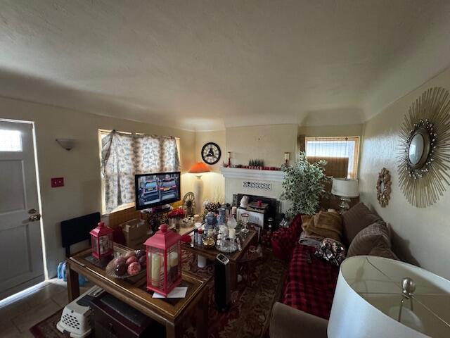 living area featuring a wealth of natural light