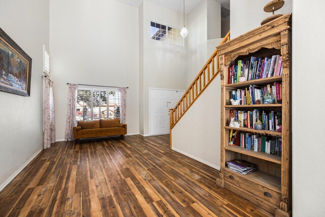 interior space featuring a towering ceiling and dark hardwood / wood-style floors