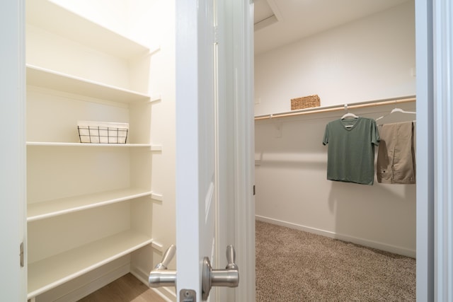 spacious closet with carpet flooring