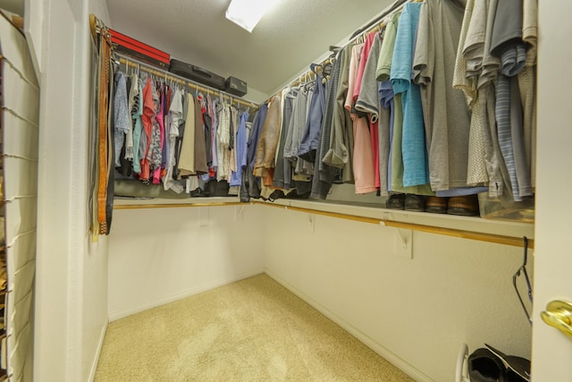 spacious closet with carpet floors