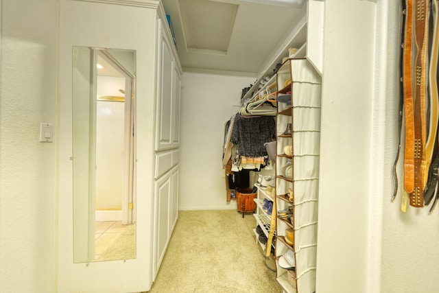 walk in closet featuring light colored carpet