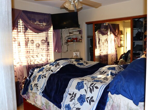 bedroom featuring a closet and ceiling fan