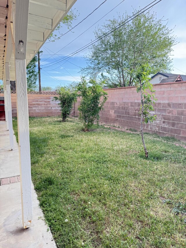 43861 W Elm Ave, Lancaster, CA 93534 - view of yard