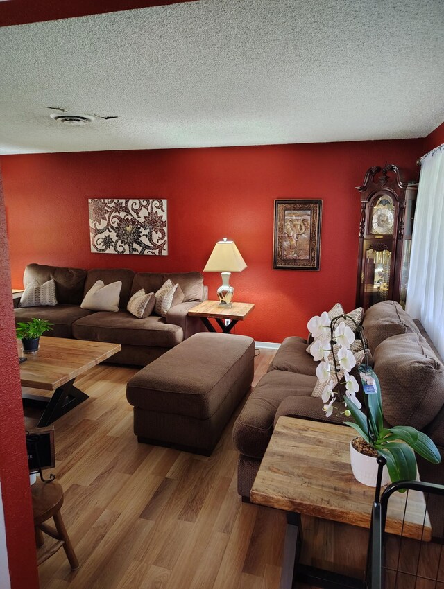 43861 W Elm Ave, Lancaster, CA 93534 - living area with wood finished floors and a textured ceiling