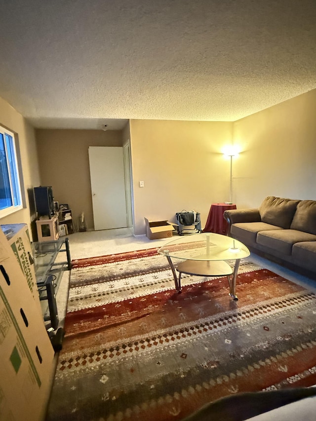 43861 W Elm Ave, Lancaster, CA 93534 - living room featuring a textured ceiling