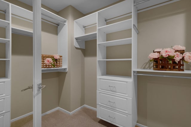 spacious closet featuring light carpet