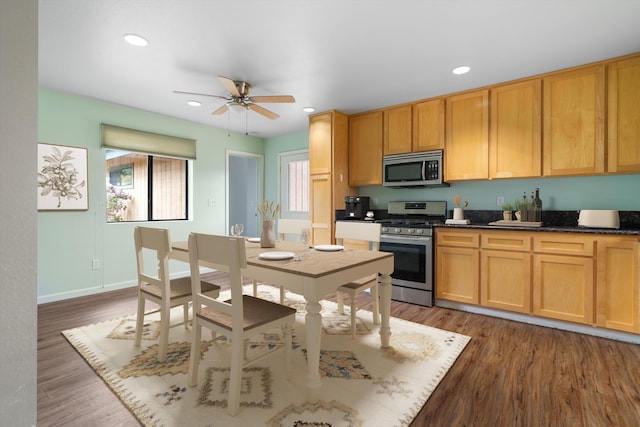 kitchen featuring appliances with stainless steel finishes, ceiling fan, wood finished floors, and a wealth of natural light