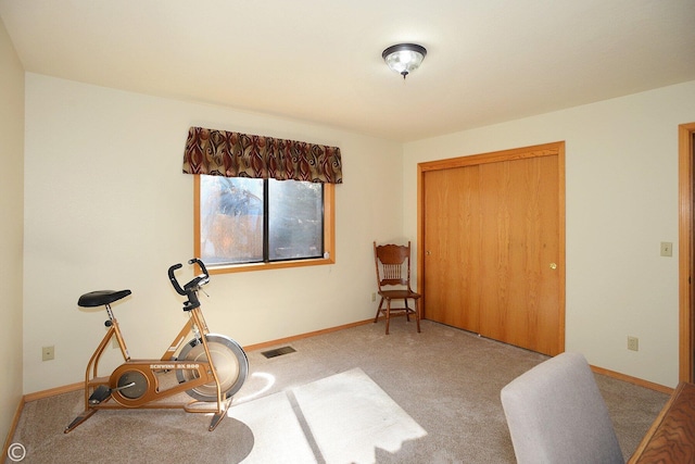 exercise room featuring light colored carpet