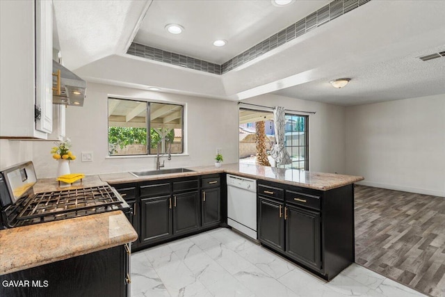 37623 E 49th St, Palmdale, CA 93552 - kitchen with dishwasher, a peninsula, dark cabinets, plenty of natural light, and recessed lighting