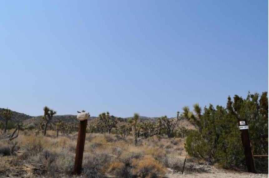 33015 E 85th St, Littlerock, CA 93543 - view of yard