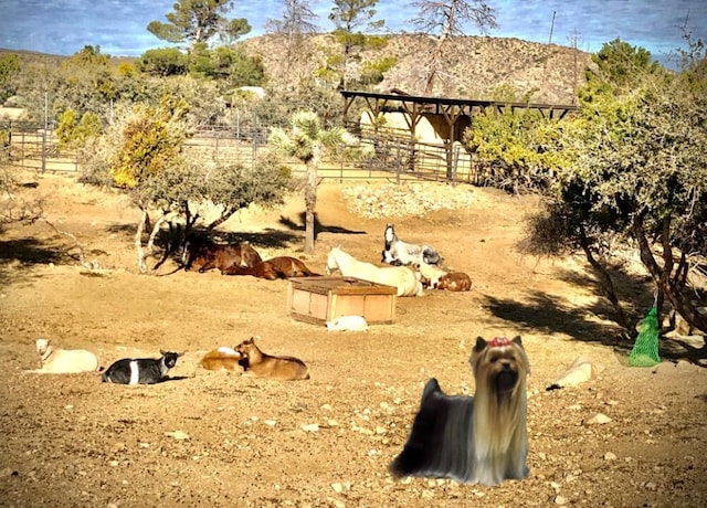 view of local wilderness featuring a mountain view