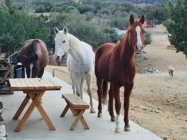 view of stable