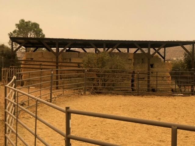 view of horse barn