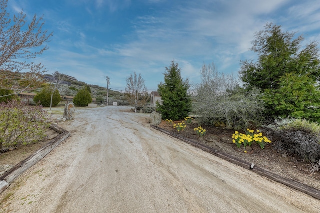 24281 Jacaranda Dr, Tehachapi, CA 93561 - view of road with driveway