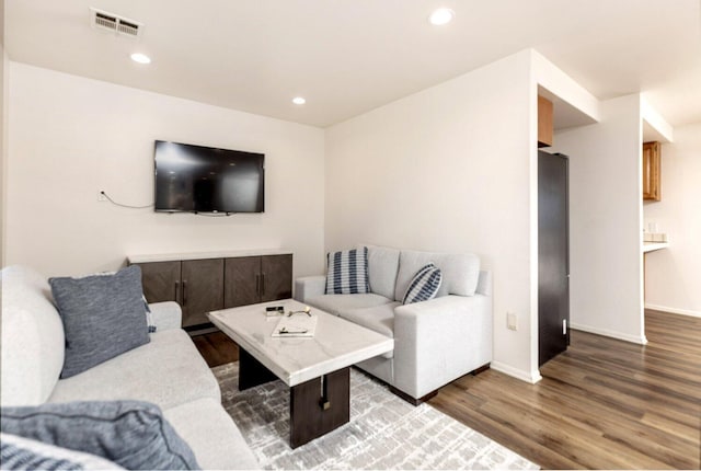 living room featuring wood-type flooring