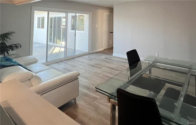 living room with hardwood / wood-style flooring