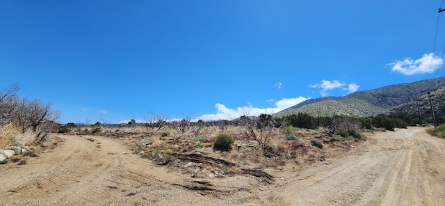 29500 106th St, Juniper Hills CA, 93543 land for sale