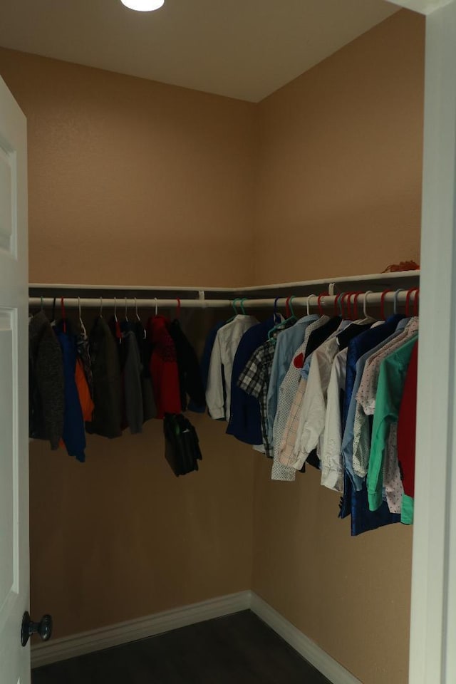 view of walk in closet