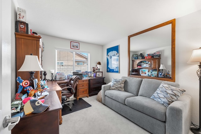 office area featuring light colored carpet