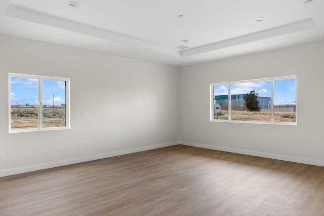 spare room with a tray ceiling, plenty of natural light, wood finished floors, and baseboards