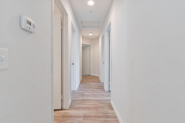 carpeted bedroom with ceiling fan and ensuite bath